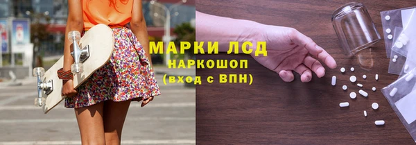 шишки Белоозёрский