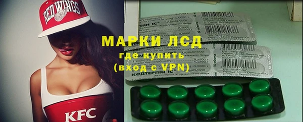 хмурый Белокуриха