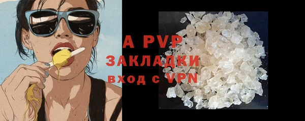 хмурый Белокуриха