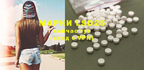 шишки Белоозёрский