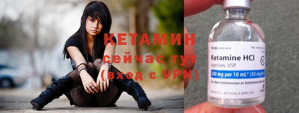 хмурый Белокуриха