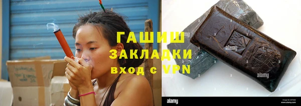 хмурый Белокуриха