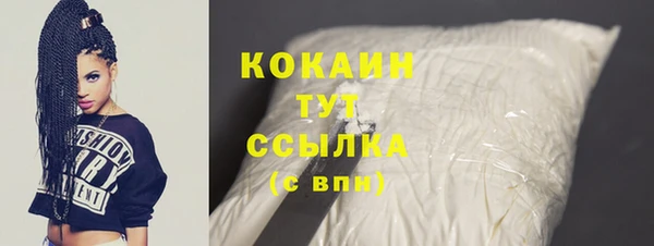 хмурый Белокуриха