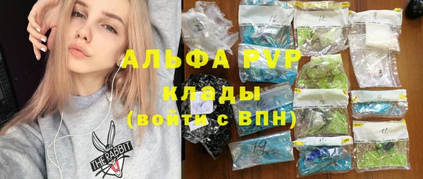 хмурый Белокуриха