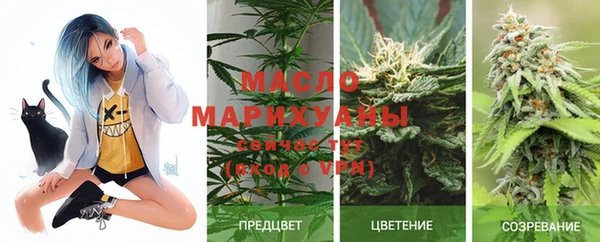 шишки Белоозёрский
