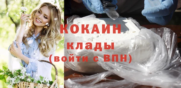 шишки Белоозёрский