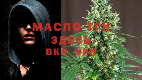 хмурый Белокуриха