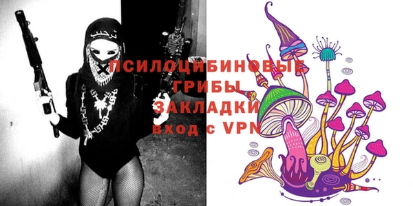 шишки Белоозёрский