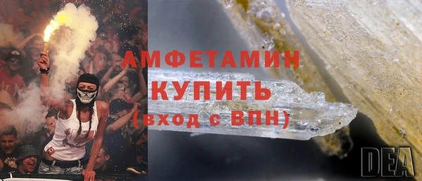 шишки Белоозёрский