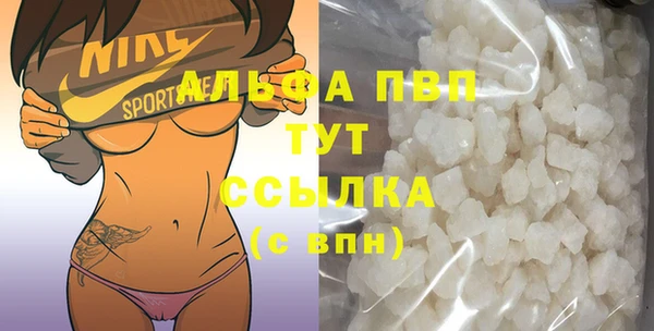 хмурый Белокуриха