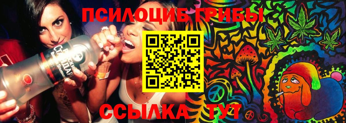 где купить наркотик  Горячий Ключ  Галлюциногенные грибы Psilocybine cubensis 