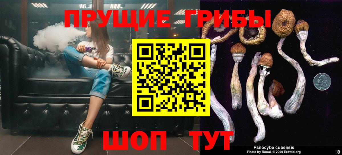 Галлюциногенные грибы MAGIC MUSHROOMS  Вход с VPN  Галлюциногенные грибы MAGIC MUSHROOMS  Горячий Ключ 